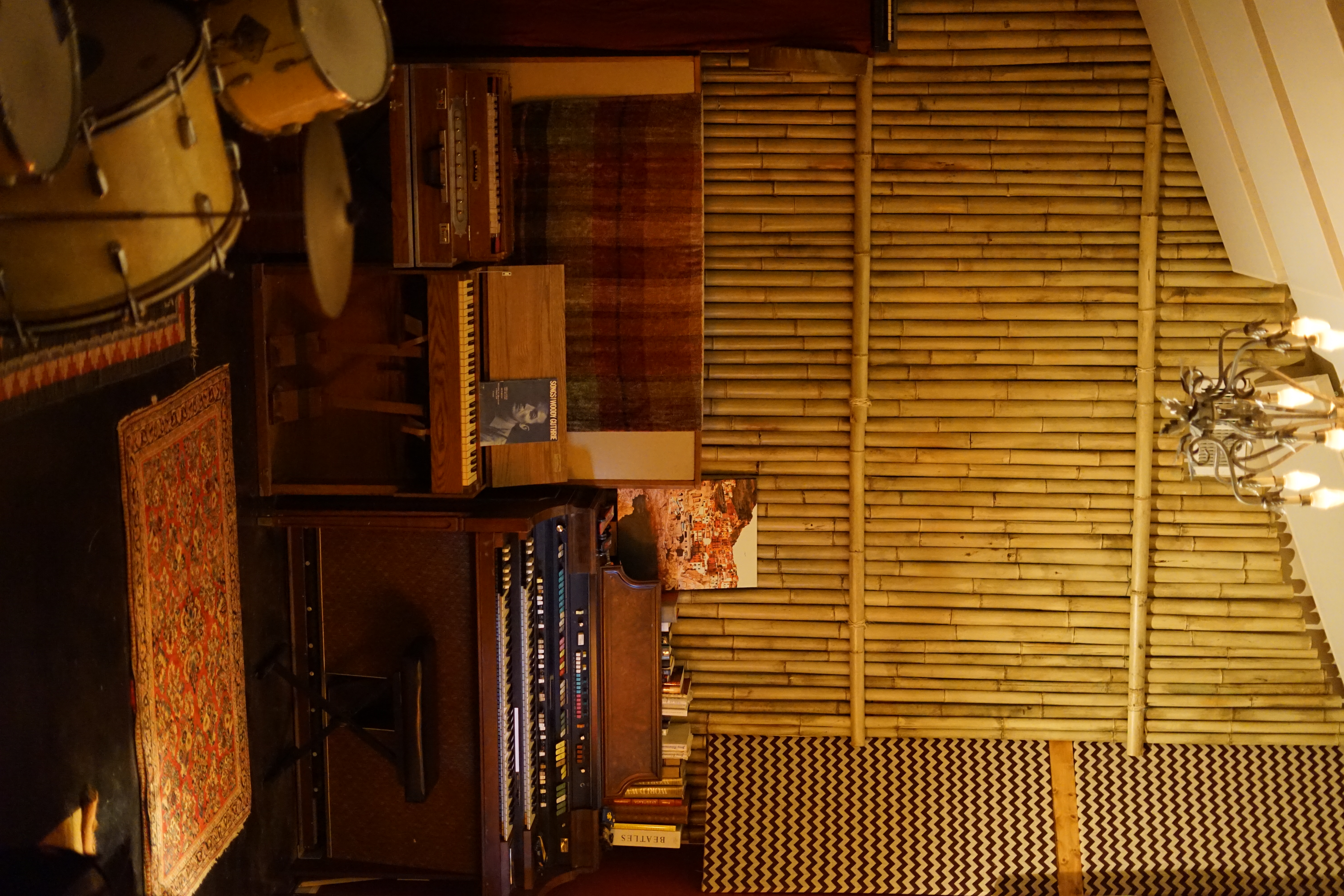 Sleeping Dogs studio photo